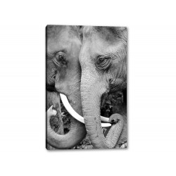 Tablou Canvas Elefanti Alb-Negru