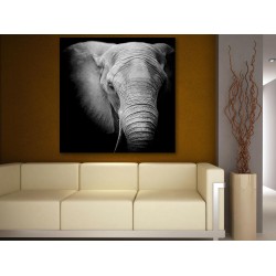 Tablou Canvas Elefant Alb Negru