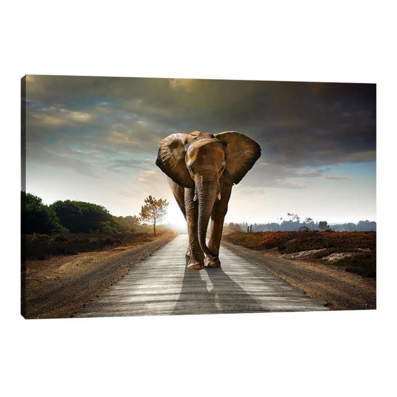 Tablou Canvas Elefant Tablou Canvas Elefant