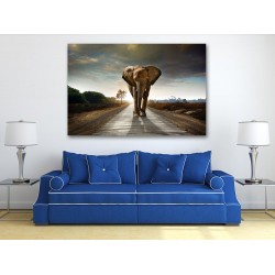 Tablou Canvas Elefant Tablou Canvas Elefant