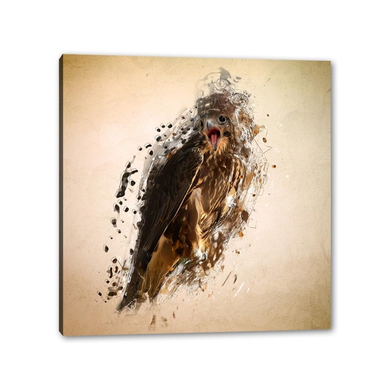 Tablou Canvas Soim