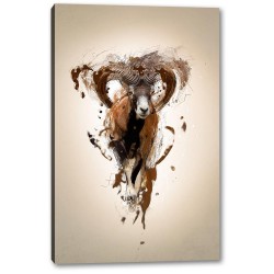Tablou Canvas Muflon Asiatic