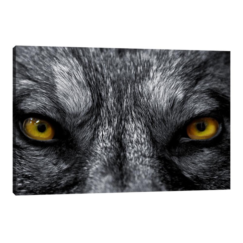 Tablou Canvas Varcolac