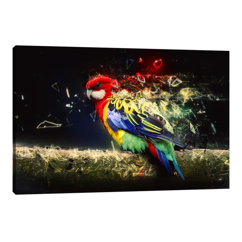 Tablou Canvas Papagal Tablou Canvas Papagal