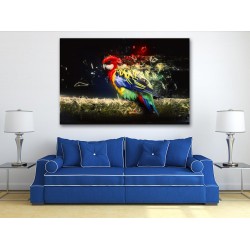Tablou Canvas Papagal Tablou Canvas Papagal