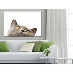 Tablou Canvas Ochi De Pisica