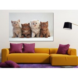 Tablou Canvas Pisoiasi