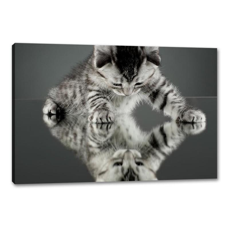 Tablou Canvas Reflexie Pisica