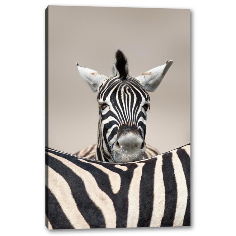 Tablou Canvas Portret Zebra