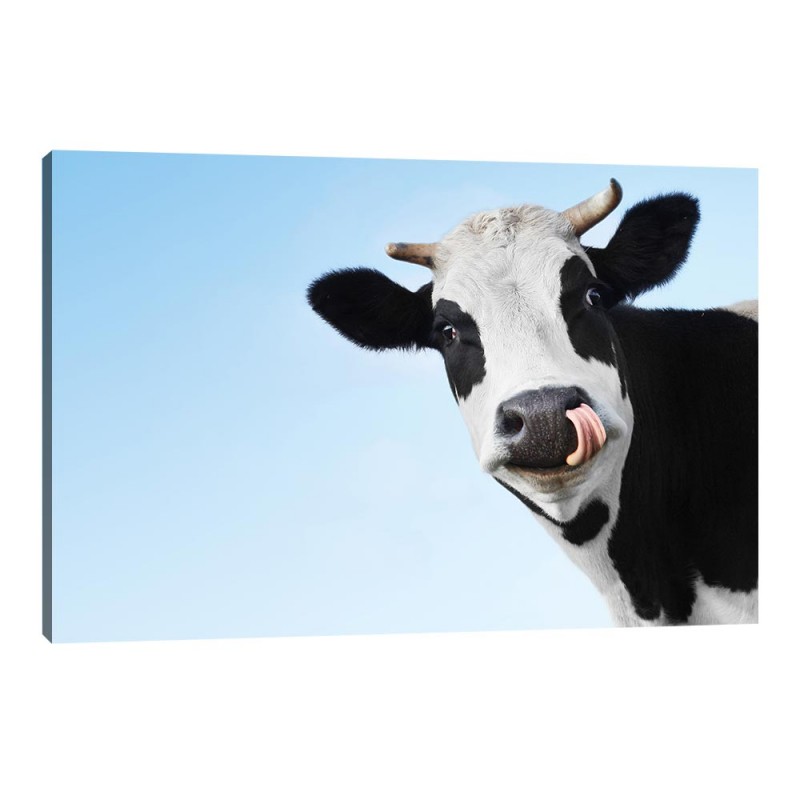 Tablou Canvas Happy Cow