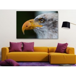 Tablou Canvas Cap De Vultur