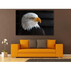 Tablou Canvas American Eagle