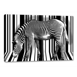 Tablou Canvas Zebra EAN