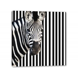 Tablou Canvas Zebra Barcode