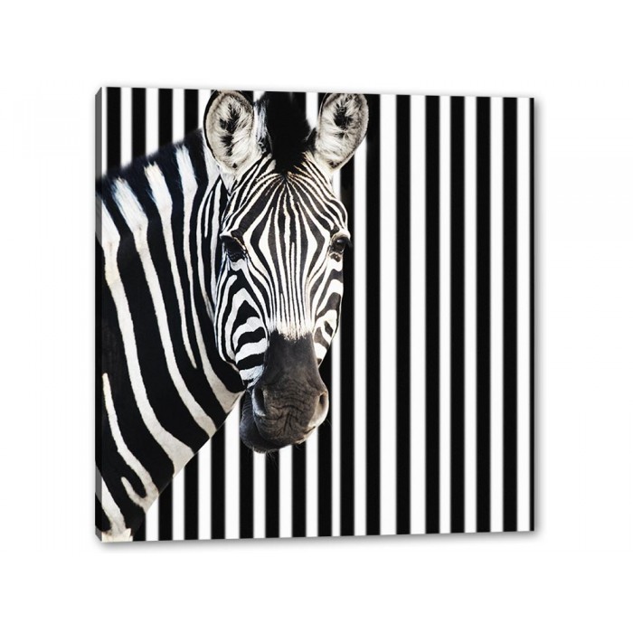 Tablou Canvas Zebra Barcode