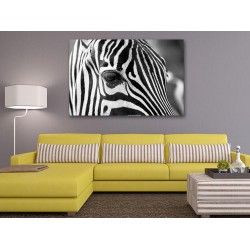 Tablou Canvas Cap De Zebra