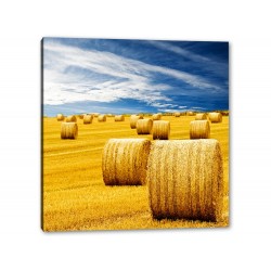 Tablou Canvas Baloti De Paie