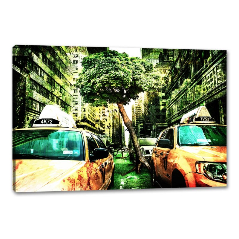Tablou Canvas Natura In Oras