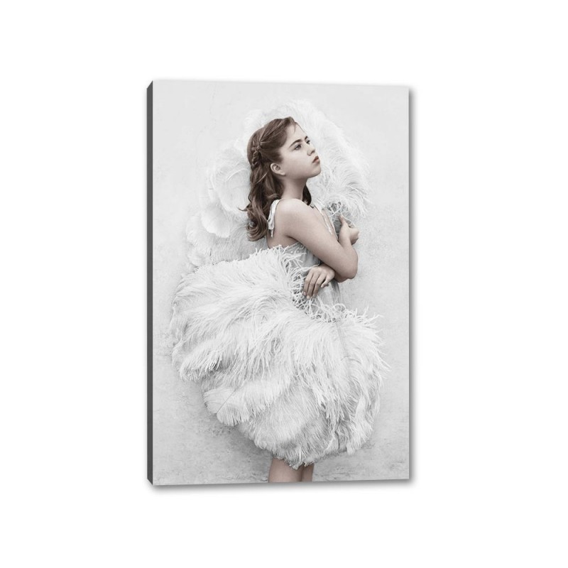 Tablou Canvas Fetita In Rochie Cu Pene