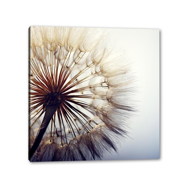 Tablou Canvas Papadie,II