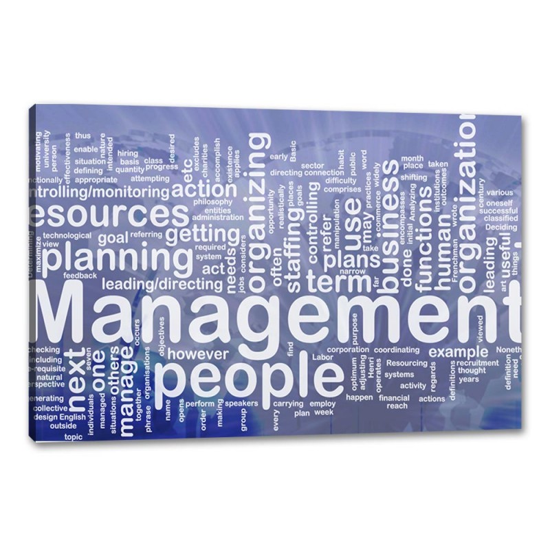 Tablou Canvas Management