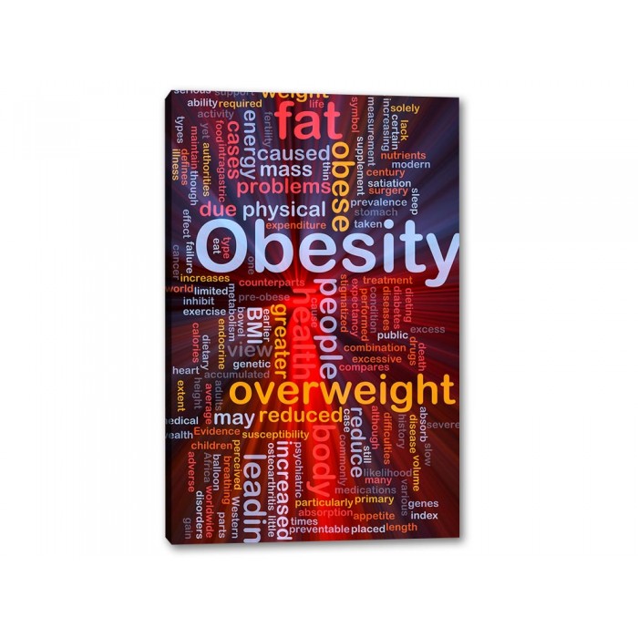 Tablou Canvas Overweight