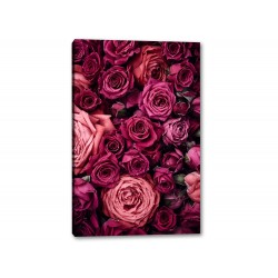 Tablou Canvas Trandafiri Rose