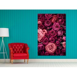 Tablou Canvas Trandafiri Rose