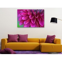 Tablou Canvas Crizantema Tablou Canvas Crizantema