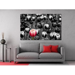 Tablou Canvas Laleaua Rosie