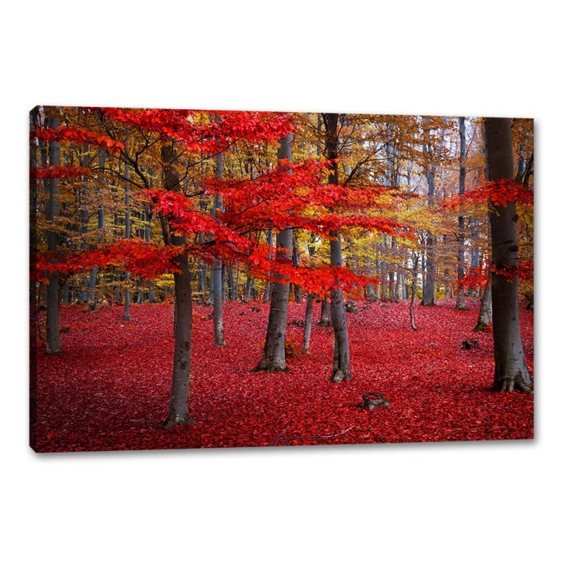 Tablou Canvas Padurea Rosie