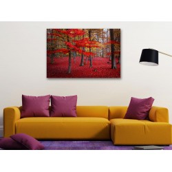 Tablou Canvas Padurea Rosie