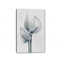 Tablou Canvas Floare Petale Albe