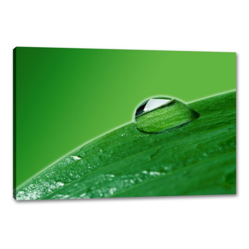 Tablou Canvas Picatura Pe Frunze