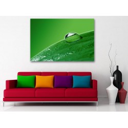 Tablou Canvas Picatura Pe Frunze