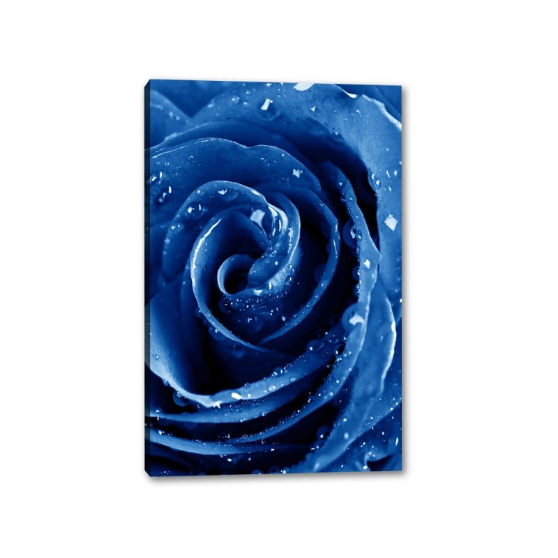 Tablou Canvas Trandafir Albastru