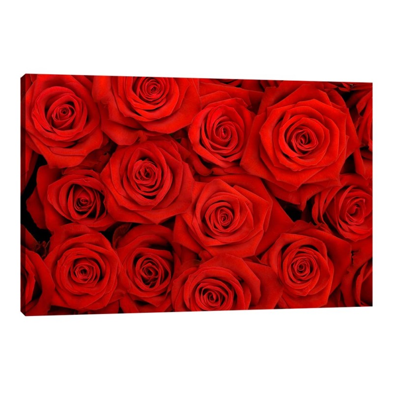 Tablou Canvas Trandafiri Rosii