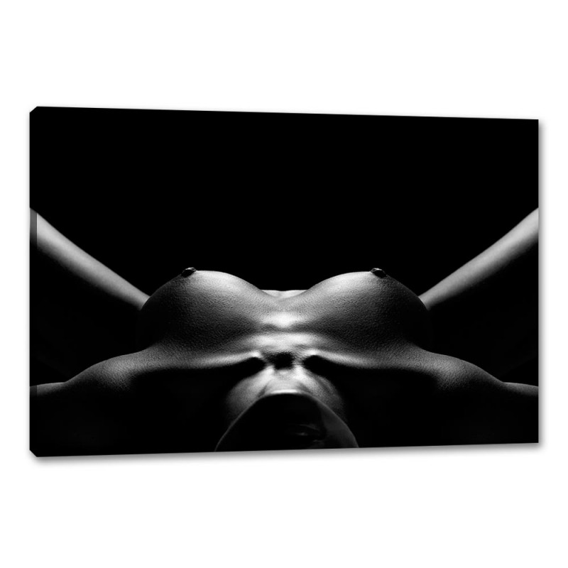 Tablou Canvas Trup De Femeie