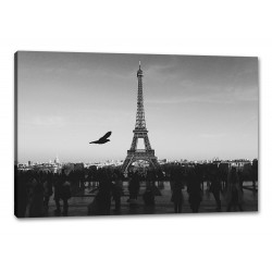 Tablou Canvas Pasare Zburand In Jurul Turnului Eiffel