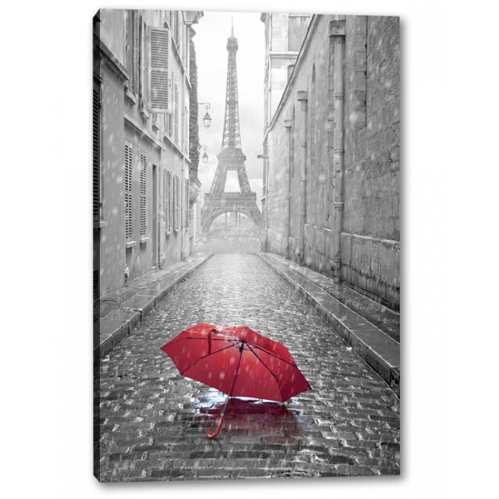 Tablou Canvas Umbrela In Paris