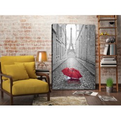 Tablou Canvas Umbrela In Paris