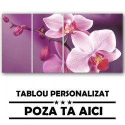 Set Tablou Multicanvas 3 Piese cu Poza Ta 