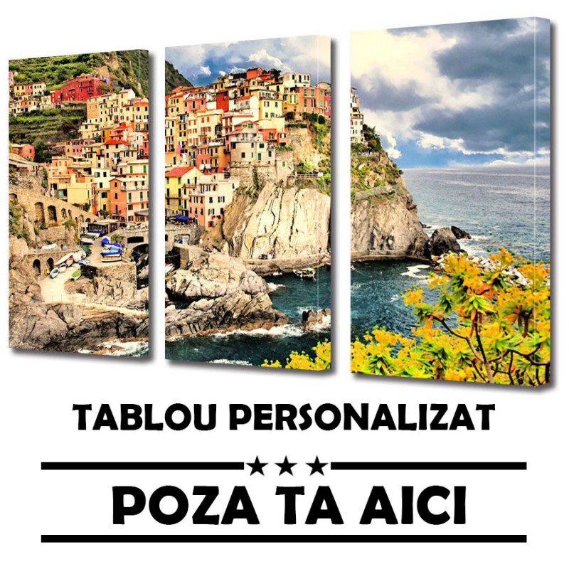 Set Tablouri Multicanvas 3 Piese cu Poza Ta 30 x 60 cm