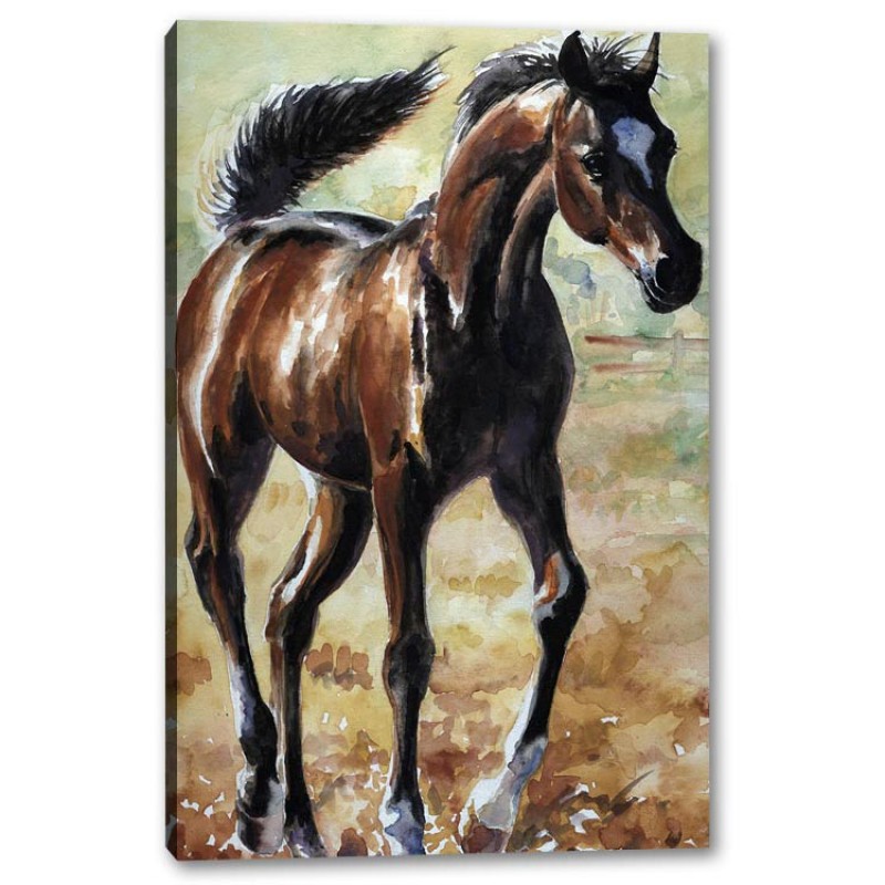 Tablou Canvas Pictura Cal