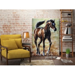 Tablou Canvas Pictura Cal