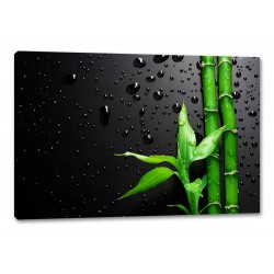 Tablou Canvas Frunze De Bambus