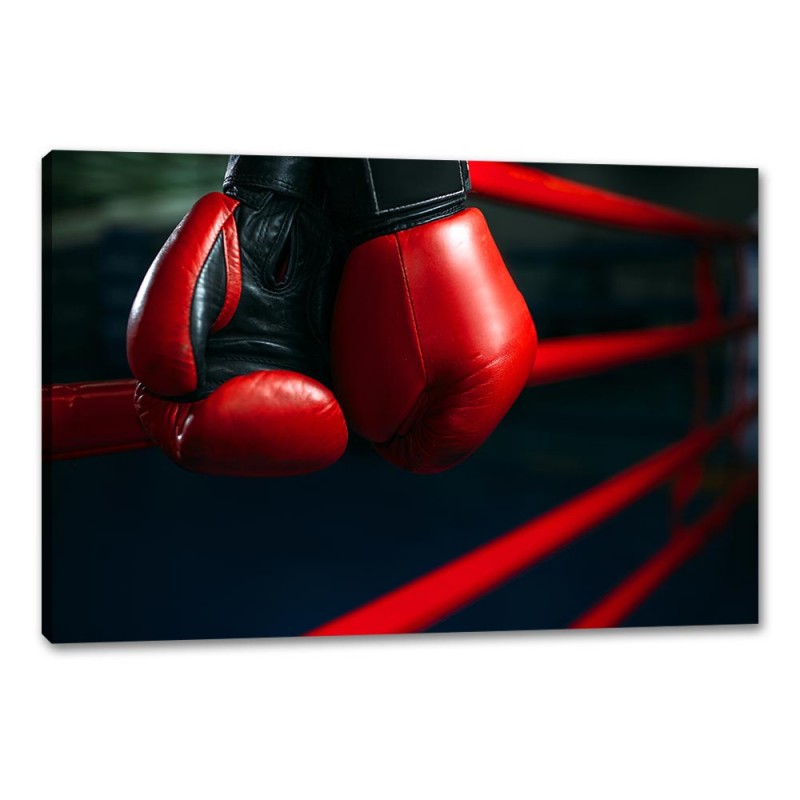 Tablou Canvas Manusi de Box