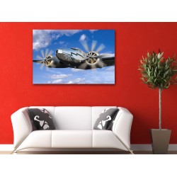Tablou Canvas Avion Militar