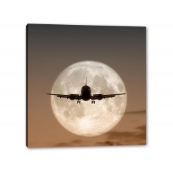 Tablou Canvas Zbor Sub Clar De Luna