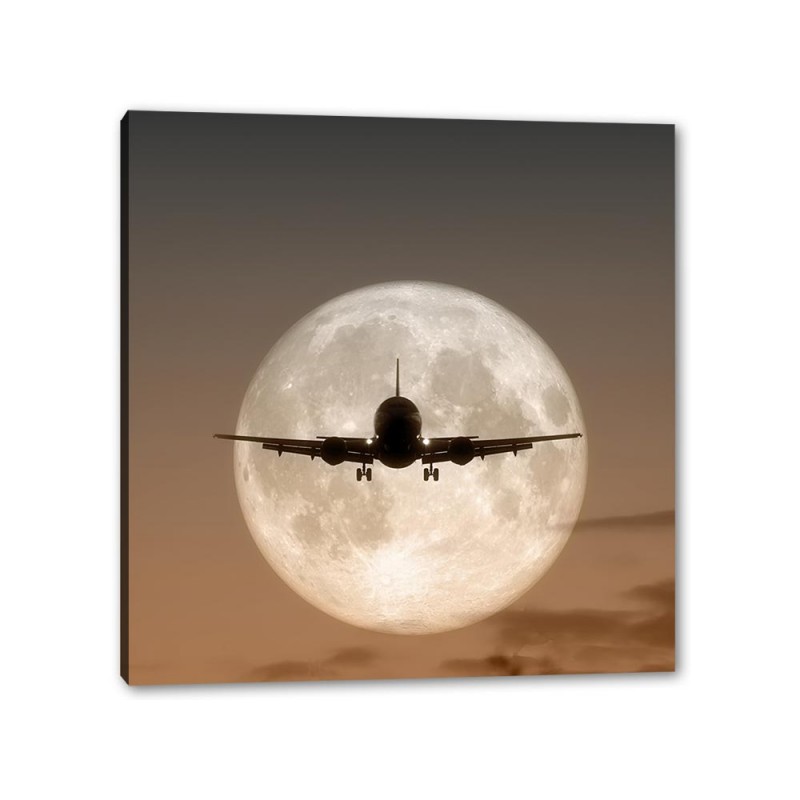 Tablou Canvas Zbor Sub Clar De Luna
